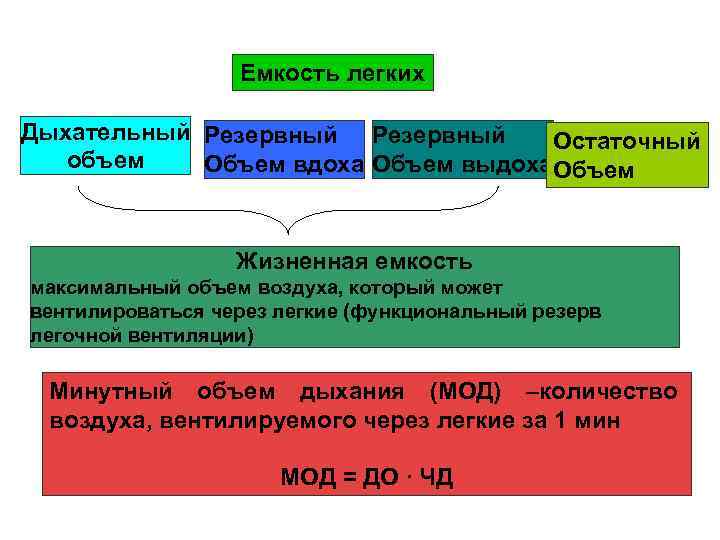 Емкость легких Дыхательный Резервный Остаточный объем Объем вдоха Объем выдоха Объем Жизненная емкость максимальный