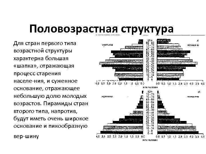 Возрастная структура стран. Половозрастная пирамида с широким основанием. Тип половозрастной структуры. Возрастная пирамида типов старения. Возрастная пирамида с широким основанием характеризует.