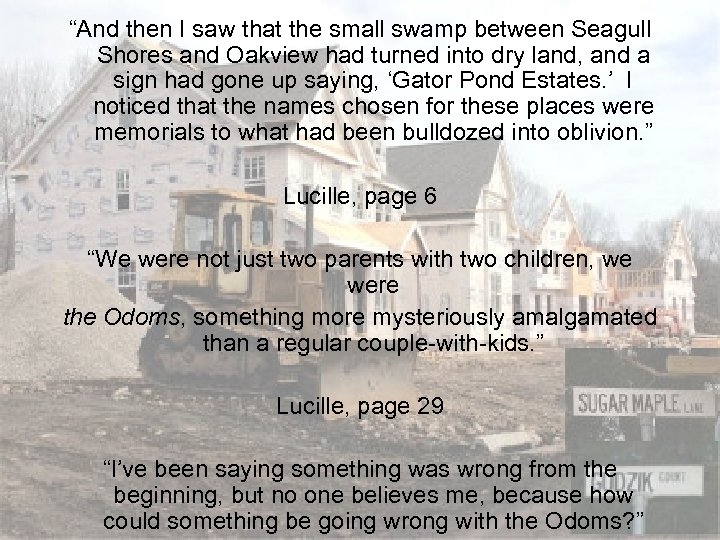 “And then I saw that the small swamp between Seagull Shores and Oakview had