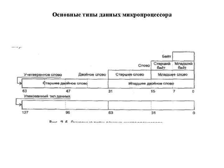 Основные типы данных микропроцессора 