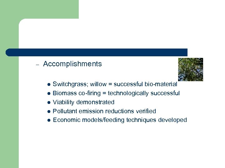– Accomplishments l l l Switchgrass; willow = successful bio-material Biomass co-firing = technologically