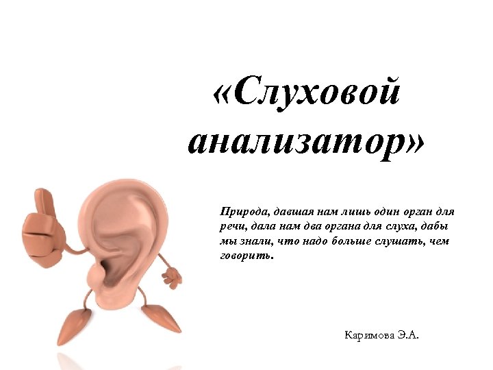  «Слуховой анализатор» Природа, давшая нам лишь один орган для речи, дала нам два