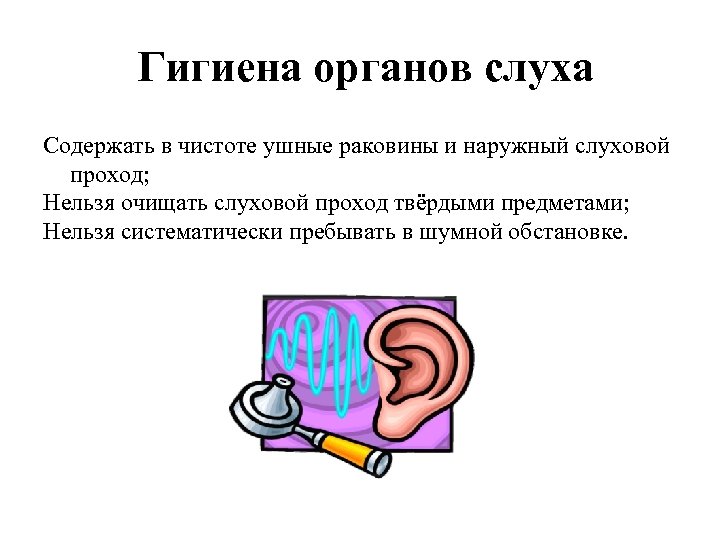 Гигиена органов слуха Содержать в чистоте ушные раковины и наружный слуховой проход; Нельзя очищать