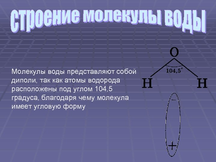 Молекулы воды представляют собой диполи, так как атомы водорода расположены под углом 104, 5