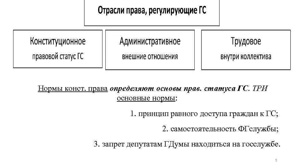 Нормы конст. права определяют основы прав. статуса ГС. ТРИ основные нормы: 1. принцип равного