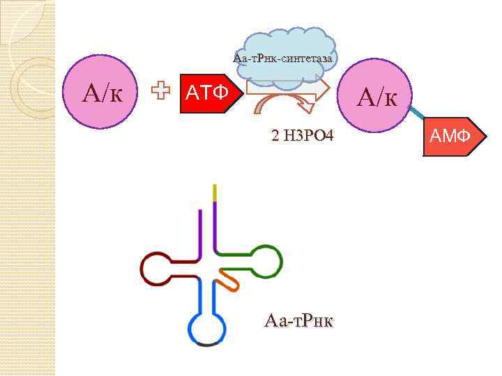 Аа-т. Рнк-синтетаза А/к АТФ А/к 2 Н 3 РО 4 Аа-т. Рнк АМФ 