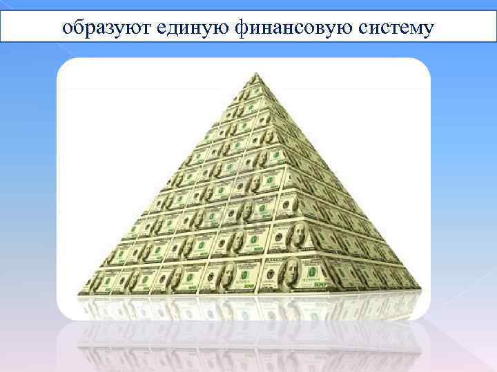 образуют единую финансовую систему 