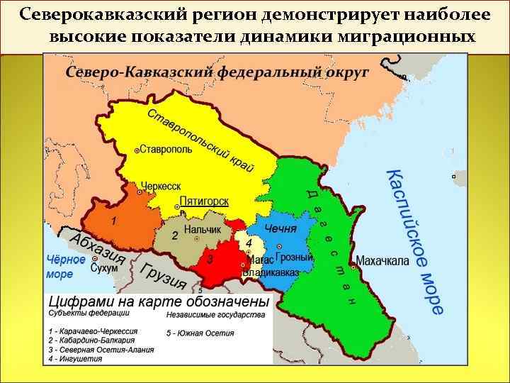 Северокавказский регион демонстрирует наиболее высокие показатели динамики миграционных процессов. 