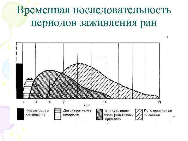 Временная последовательность периодов заживления ран 