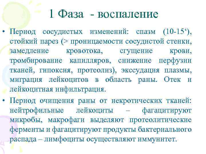 1 Фаза - воспаление • Период сосудистых изменений: спазм (10 -15‘), стойкий парез (>