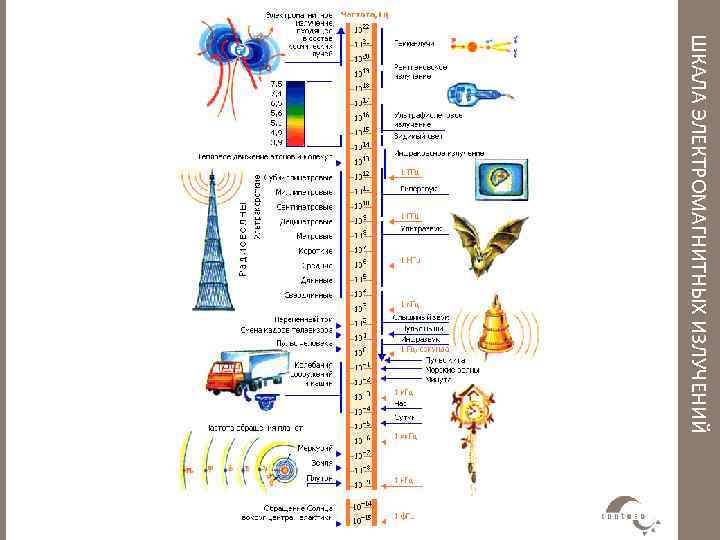 ШКАЛА ЭЛЕКТРОМАГНИТНЫХ ИЗЛУЧЕНИЙ 