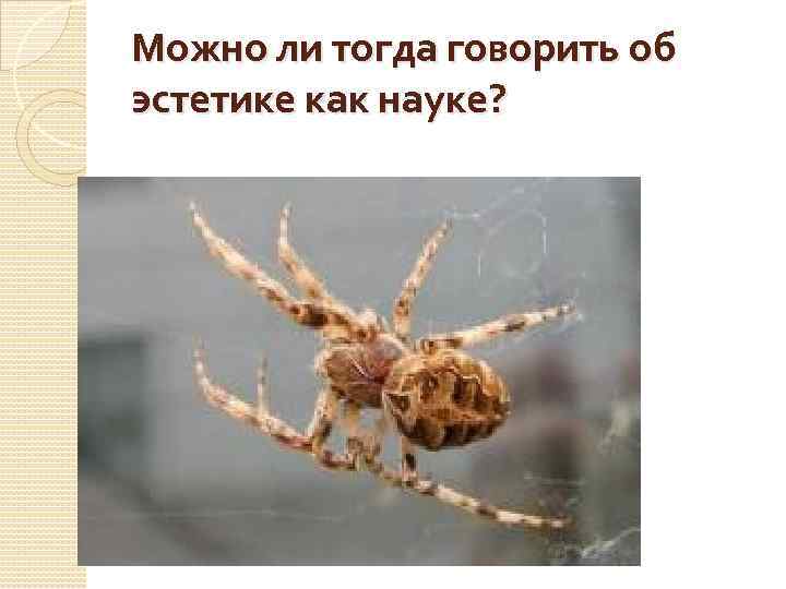 Можно ли тогда говорить об эстетике как науке? 