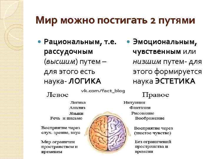Мир можно постигать 2 путями Рациональным, т. е. Эмоциональным, рассудочным чувственным или (высшим) путем