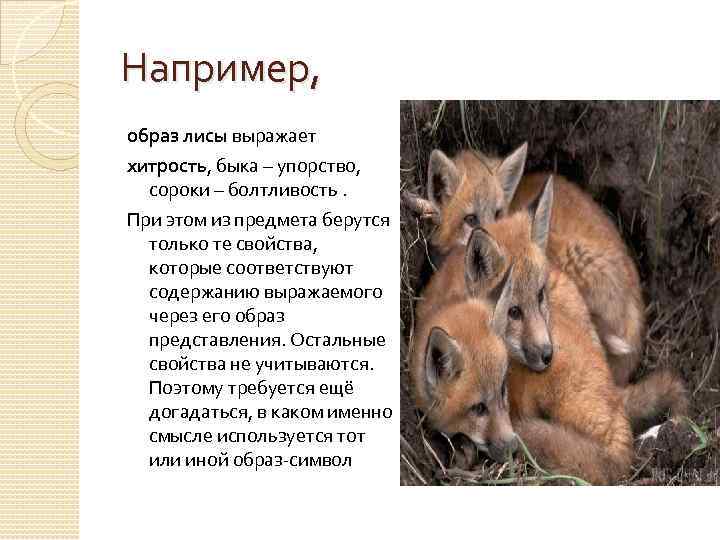 Например, образ лисы выражает хитрость, быка – упорство, сороки – болтливость. При этом из