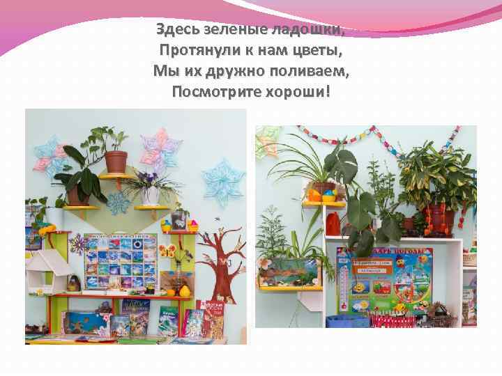 Здесь зеленые ладошки, Протянули к нам цветы, Мы их дружно поливаем, Посмотрите хороши! 