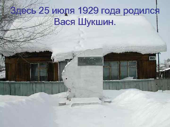 Здесь 25 июля 1929 года родился Вася Шукшин. 