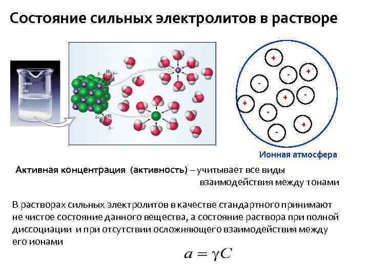 Состояние сильных электролитов в растворе + - + + + - - + Ионная