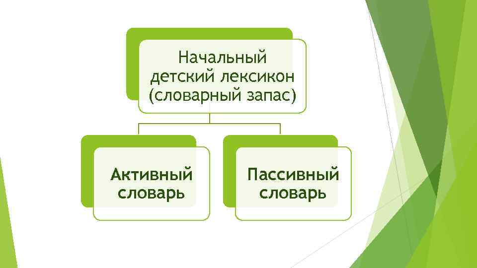 Начальный детский лексикон (словарный запас) Активный словарь Пассивный словарь 