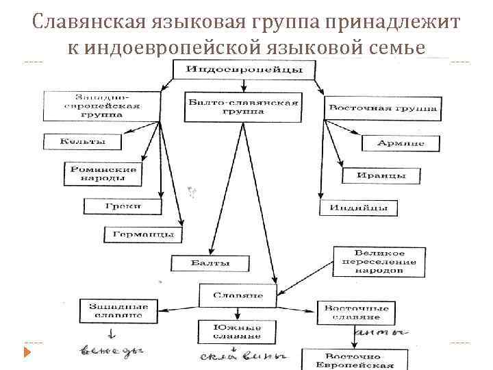 Славянская языковая группа принадлежит к индоевропейской языковой семье 