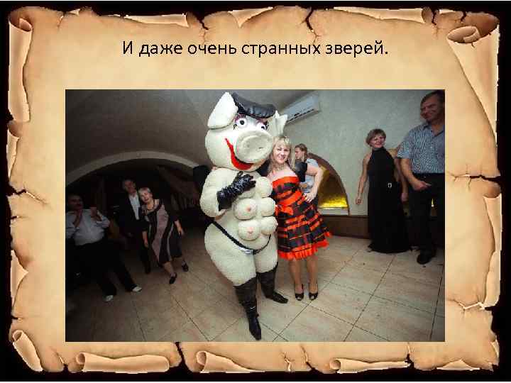 И даже очень странных зверей. 