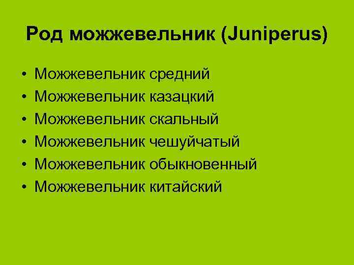 Род можжевельник (Juniperus) • • • Можжевельник средний Можжевельник казацкий Можжевельник скальный Можжевельник чешуйчатый