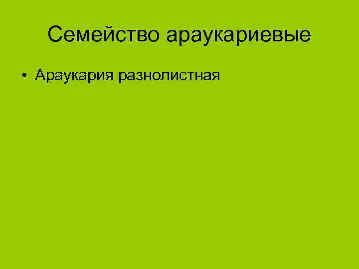 Семейство араукариевые • Араукария разнолистная 