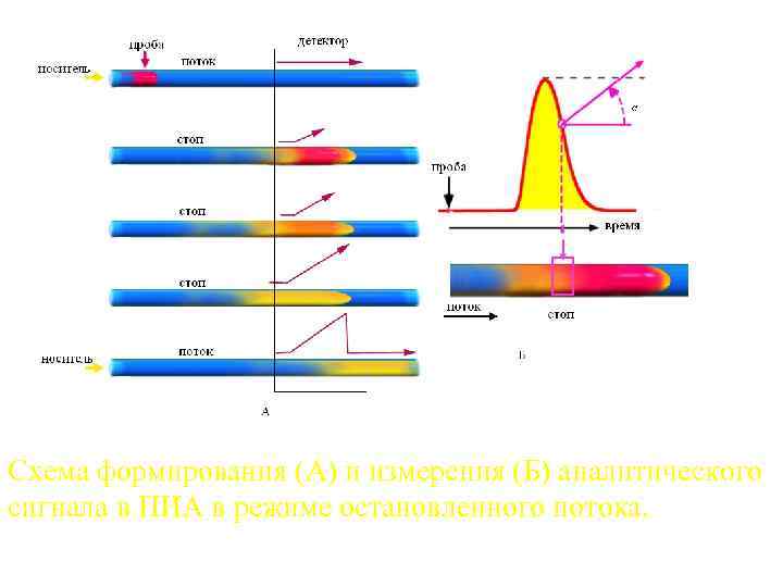 Схема формирования (А) и измерения (Б) аналитического сигнала в ПИА в режиме остановленного потока.