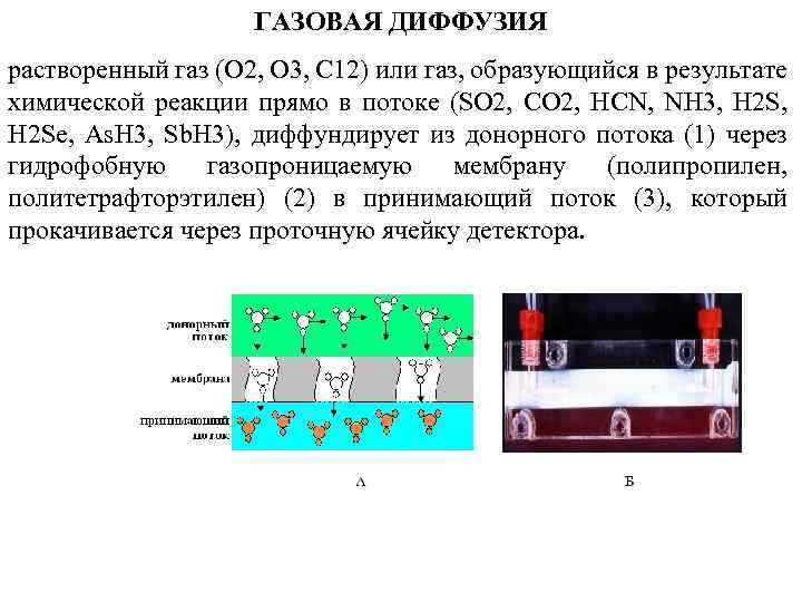 ГАЗОВАЯ ДИФФУЗИЯ растворенный газ (О 2, О 3, С 12) или газ, образующийся в