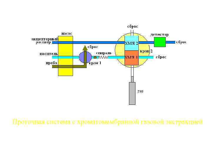 Проточная система с хроматомембранной газовой экстракцией 