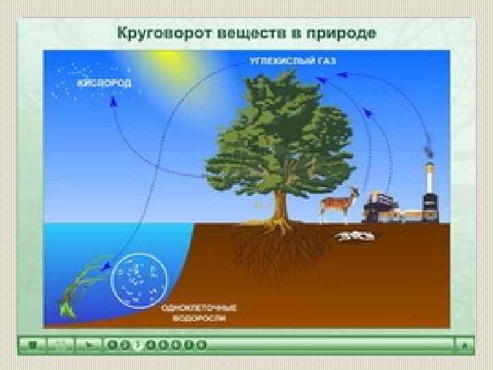 Схема круговорота веществ в географической оболочке