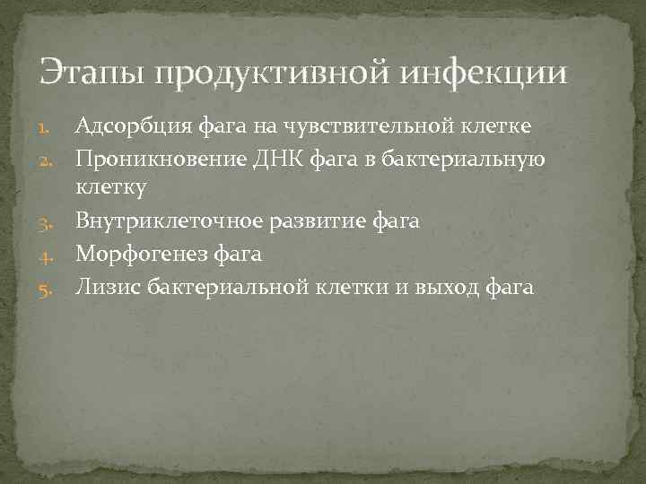 Этапы продуктивной инфекции 1. 2. 3. 4. 5. Адсорбция фага на чувствительной клетке Проникновение