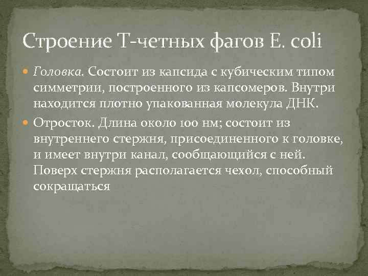 Строение Т-четных фагов E. coli Головка. Состоит из капсида с кубическим типом симметрии, построенного