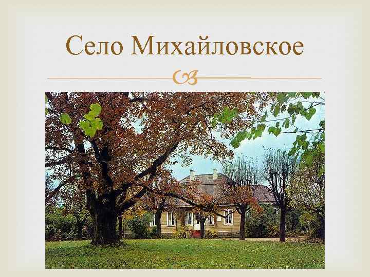 Село Михайловское 