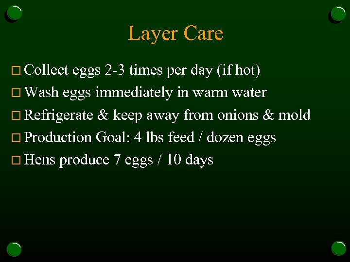 Layer Care o Collect eggs 2 -3 times per day (if hot) o Wash