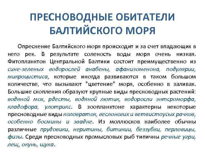 ПРЕСНОВОДНЫЕ ОБИТАТЕЛИ БАЛТИЙСКОГО МОРЯ Опреснение Балтийского моря происходит и за счет впадающих в него