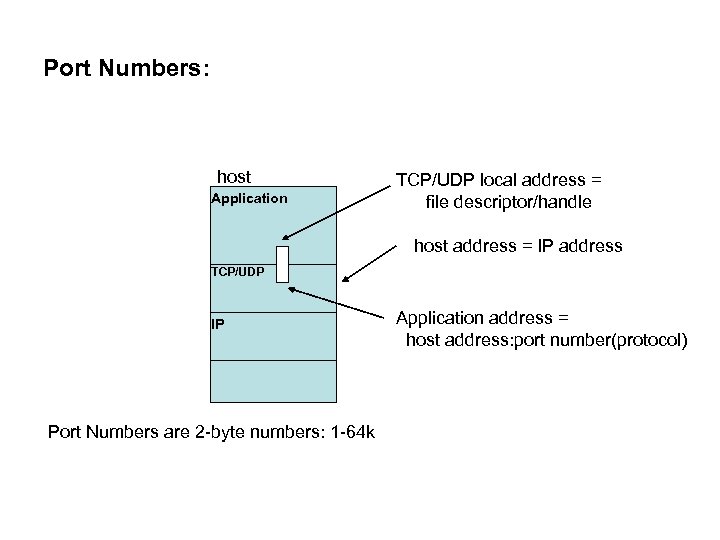 Port Numbers: host Application TCP/UDP local address = file descriptor/handle host address = IP