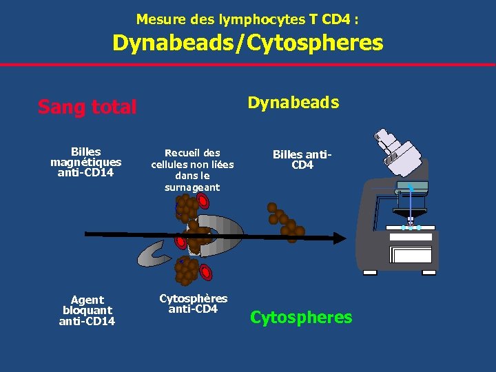 Dynabeads/Cytospheres Mesure des lymphocytes T CD 4 : Dynabeads Sang total Billes magnétiques