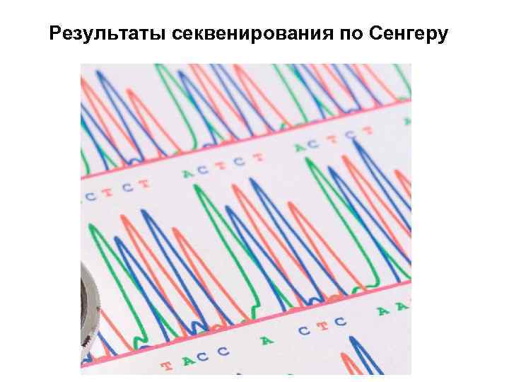 Результаты секвенирования по Сенгеру 