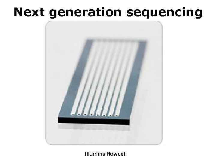 Next generation sequencing Illumina flowcell 