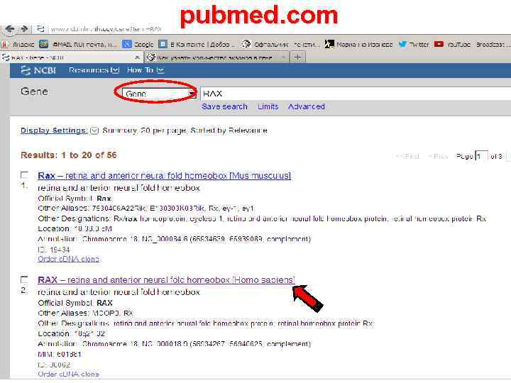 pubmed. com 