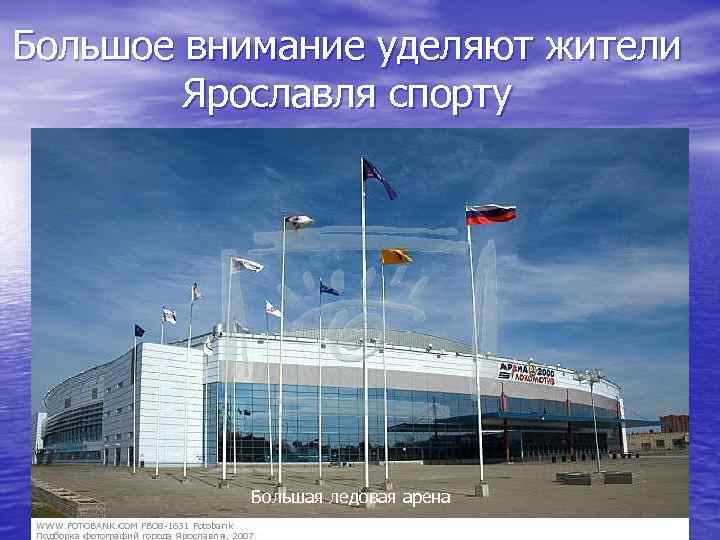 Большое внимание уделяют жители Ярославля спорту Большая ледовая арена 
