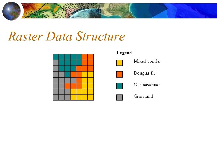 Raster Data Structure 