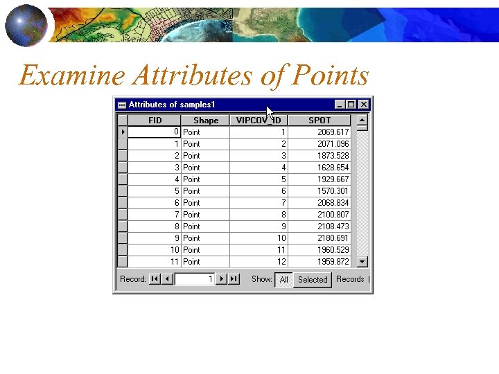 Examine Attributes of Points 