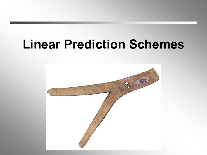 Linear Prediction Schemes 