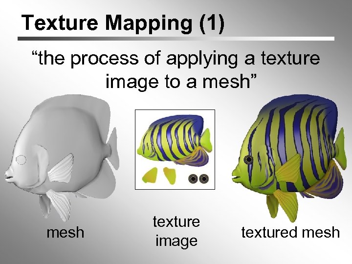 Texture Mapping (1) “the process of applying a texture image to a mesh” mesh