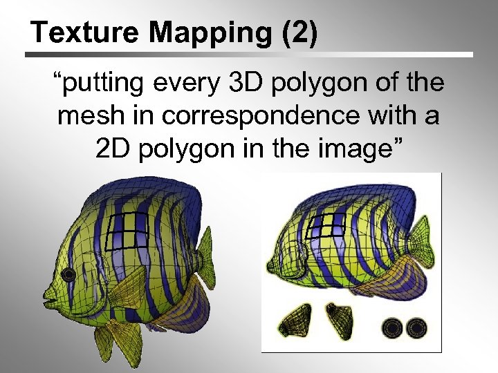 Texture Mapping (2) “putting every 3 D polygon of the mesh in correspondence with