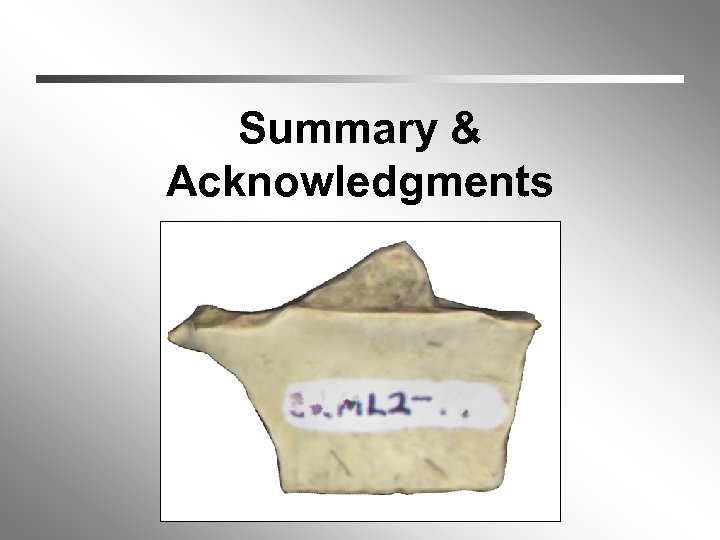 Summary & Acknowledgments 