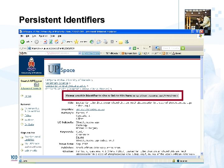Persistent Identifiers 