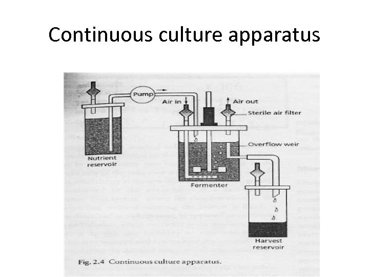 Continuous culture apparatus 