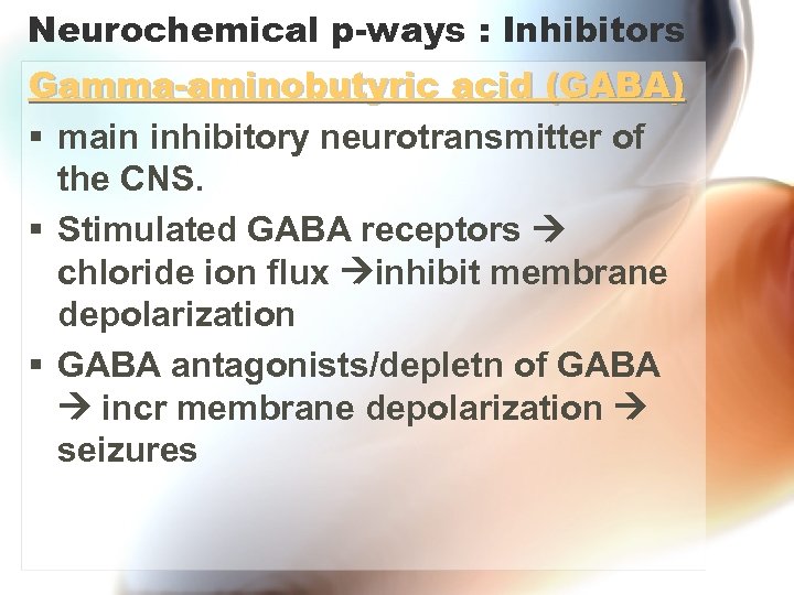 Neurochemical p-ways : Inhibitors Gamma-aminobutyric acid (GABA) § main inhibitory neurotransmitter of the CNS.